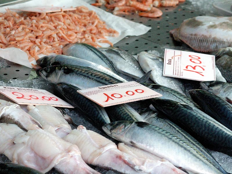 Mercato del Pesce Pescheria - Treviso