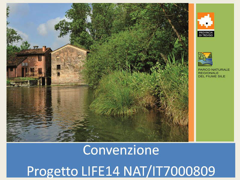 Das Übereinkommen zwischen der Provinz Treviso und der Behörde des Sile Parks zur Realisierung des Projekts LIFE14 NAT/IT7000809 LIFE SILIFFE wurde unterzeichnet